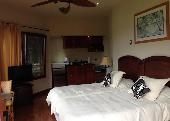 Arenal Lake Front & View Cottages Lodge